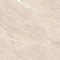 Керамогранит Alma Ceramica Pulpis GFU04PLP04R 60х60 см — фото 1, Керамогранит