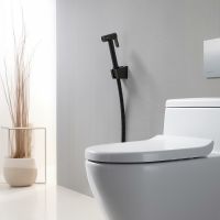 Гигиенический душ Aquatek AQ2054MB Черный матовый — фото 3, Душевое оборудование. Душевая программа