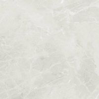 Керамогранит Dako Liberty Светло-серый Рект E-3014/MR/600x600x9 60х60 см — фото 2, Керамогранит