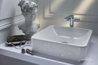 Раковина-чаша Jacob Delafon Vox Signature 40 EVG102-PT3 Лозоплетение — фото 2, Раковины