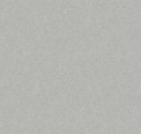 Обои LOYMINA Shade 2 SDR5 008/1 Винил на флизелине (1*10,05) Серый, Штукатурка — фото 2, Обои для стен