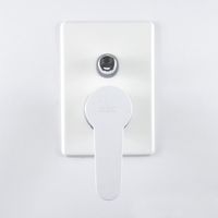 Смеситель для душа Webert Sax Evolution Белый матовый арт-SE860101740 — фото 4, Встраиваемые смесители для душа