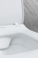 Унитаз Allen Brau Liberty 2 4.33007.21 подвесной Белый матовый без сиденья — фото 58, Подвесные унитазы