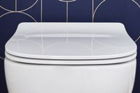 Комплект унитаза с инсталляцией Jacob Delafon Struktura E21750RU-00 с сиденьем Микролифт и клавишей смыва Черная — фото 11, Комплекты унитаз + инсталляция