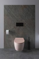 Унитаз Allen Brau Fantasy 4.11004.SM подвесной Розовый без сиденья — фото 5, Унитазы