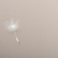 Обои Andrea Rossi Gavi 54368-3 Винил на флизелине (1,06*10) Бежевый, Листья/Цветы — фото 2, Обои для стен