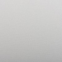 Обои Andrea Rossi Spectrum Pro 54385-11 Винил на флизелине (1,06*10) Белый/Серый, Однотонные/Рогожка — фото 1, Обои для стен