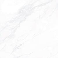 Керамогранит Гранитея 60х60 Payer Elegant MR G281 60х60 см — фото 1, Керамогранит