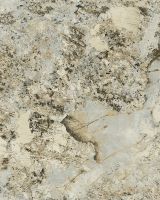 Обои Decori-Decori Carrara Best 85603BS Винил на флизелине (1,06*10,05) Бежевый/Коричневый, Мрамор — фото 2, Обои для стен