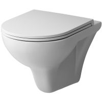 Унитаз AM.PM Gem FlashClean подвесной с гигиеническим душем и ершиком с сиденьем Микролифт арт-CK90H0203W — фото 2, Подвесные унитазы