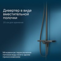 Душевая система AM.PM Like F0780222 Черная матовая — фото 5, Душевые стойки