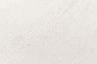 Обои Артекс The Best 3 10749-03 Винил на флизелине (1,06*10,05) Бежевый, Штукатурка — фото 3, Обои для стен