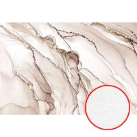 Фреска Ortograf Fluid art 34212 Фактура бархат FX Флизелин (4*2,7) Бежевый, Абстракция — фото 1, Фрески