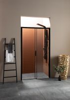 Душевая дверь Aquanet Pleasure AE60-N-150H200U-BT 150 273599 профиль Черный матовый стекло прозрачное — фото 11, Раздвижные душевые двери