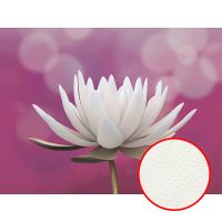 Фреска Ortograf Цветы 4835 Фактура флок FLK Флизелин (3,6*2,7) Розовый/Белый, Цветы — фото 1, Фрески