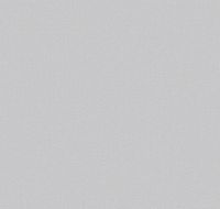 Обои LOYMINA Shade 2 SDR3 001/1 Винил на флизелине (1*10,05) Серый, Рогожка/Однотонные — фото 2, Обои для стен