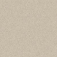 Обои LOYMINA A La Prima Pm10 005/1 Флизелин (1*10,05) Серый/Бежевый, Штукатурка — фото 1, Обои для стен