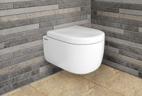 Товар: Унитаз Berges Ego Rimless 082122 подвесной с сиденьем Микролифт - фото 2 Унитаз Berges Ego Rimless 082122 подвесной с сиденьем Микролифт — фото 2, Подвесные унитазы