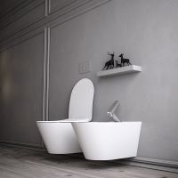 Унитаз биде Boheme Avva 972-2-MW подвесной Белый матовый без сиденья — фото 2, Унитазы