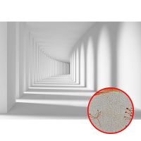 Фреска Ortograf 3D 3256 Фактура бархат золото FX-G Флизелин (3,6*2,5) Белый, Архитектура — фото 1, Фрески