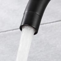 Товар: Смеситель для кухни Frap H899 F40899-4 Черный матовый - фото 4 Смеситель для кухни Frap H899 F40899-4 Черный матовый — фото 4, Смесители для кухни