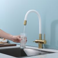 Смеситель для кухни Splenka S70.64.03 Золото матовое Белый — фото 14, Смесители для кухни