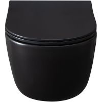 Унитаз Allen Brau Priority 4.31002.31 подвесной Черный матовый без сиденья — фото 13, Подвесные унитазы