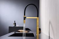 Смеситель для кухни Paulmark Leader Le214101-BG Брашированное золото — фото 4, Смесители для кухни