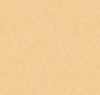 Обои LOYMINA Shade SD3 002/5 Винил на флизелине (1*10,05) Желтый, Штукатурка — фото 2, Обои для стен