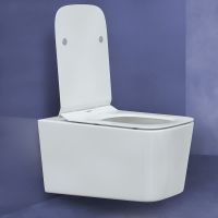 Товар: Унитаз Berges Floe Rimless 082121 подвесной с сиденьем Микролифт - фото 3 Унитаз Berges Floe Rimless 082121 подвесной с сиденьем Микролифт — фото 3, Подвесные унитазы