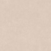 Обои RASCH Garden 330021 Винил на флизелине (0,53*10,05) Бежевый/Серый, Однотонные/Рогожка — фото 1, Обои для стен