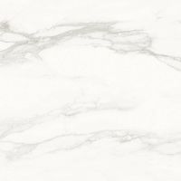 Керамогранит Velsaa Pantheon RP-91889 60х60 см — фото 3, Керамогранит