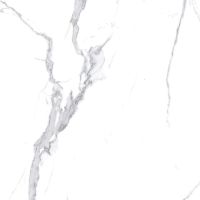 Керамогранит Ceradim Calacatta Splendid Silver белый 60х60 см — фото 1, Керамогранит