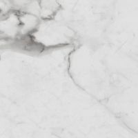 Керамогранит Royce Tile Carrara Betria Polished R_PR1005 60х60 см — фото 2, Керамогранит