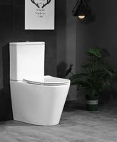 Унитаз компакт Ceruttispa Sella GW CT9864 с бачком и сиденьем Микролифт — фото 5, Напольные унитазы