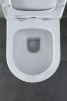 Товар: Унитаз Allen Brau Priority 4.31001.20 подвесной без сиденья - фото 37 Унитаз Allen Brau Priority 4.31001.20 подвесной без сиденья — фото 37, Подвесные унитазы