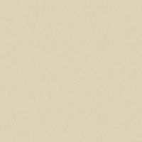 Товар: Обои Bruno Zoff Silver 60118-4 Фольга на флизелине (1,06*10,05) Бежевый, Однотонные - фото 1 Обои Bruno Zoff Silver 60118-4 Фольга на флизелине (1,06*10,05) Бежевый, Однотонные — фото 1, Обои для стен