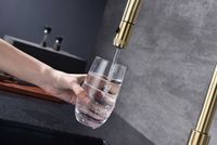 Смеситель для кухни Paulmark Galant Ga213077-SBG Светлое брашированное золото — фото 9, Смесители для кухни