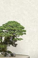 Товар: Обои Emiliana Parati Zen 72968 Винил на флизелине (1,06*10,05) Бежевый, Мрамор - фото 2 Обои Emiliana Parati Zen 72968 Винил на флизелине (1,06*10,05) Бежевый, Мрамор — фото 2, Обои для стен