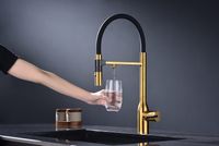 Смеситель для кухни Paulmark Magneto One Ma213188-BG Брашированное золото — фото 7, Смесители для кухни