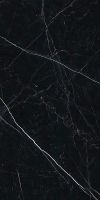 Керамогранит Ariostea Marmi Classici Nero Marquinia lev silk PK612547 60x120 см — фото 1, Керамогранит