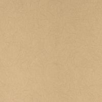 Обои Bernardo Bartalucci Legend Флизелин (1,06*10) Бежевый, Однотонные арт-5068-33 — фото 1, Обои для стен