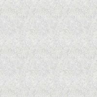 Товар: Обои Marburg Flora 47478 Винил на флизелине (0,53*10,05) Серый, Штукатурка - фото 1 Обои Marburg Flora 47478 Винил на флизелине (0,53*10,05) Серый, Штукатурка — фото 1, Обои для стен