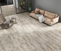 Товар: Керамогранит Gravita Rock Gris 60х60 см - фото 2 Керамогранит Gravita Rock Gris 60х60 см — фото 2, Керамогранит