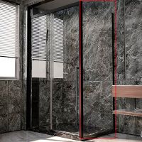 Душевая стенка Veconi Premium Trento SP-30B 80 SP30-B-80-01-C4 профиль Черный матовый стекло прозрачное — фото 1, Боковые стенки