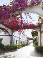 Фреска Ortograf Городской пейзаж 4090 Фактура бархат FX Флизелин (2*2,7) Белый/Розовый, Город/Цветы арт-4090 (бархат FX) — фото 2, Фрески