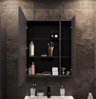 Зеркальный шкаф STWORKI Кронборг 70 1A262002KB820 Черный Серый — фото 2, Зеркальные шкафы в ванную