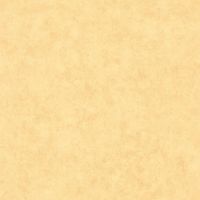 Товар: Обои Caselio Beton 2 101482200 Винил на флизелине (0,53*10,05) Желтый, Штукатурка - фото 1 Обои Caselio Beton 2 101482200 Винил на флизелине (0,53*10,05) Желтый, Штукатурка — фото 1, Обои для стен