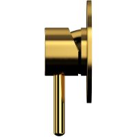 Смеситель для душа Whitecross Y gold Y1245GL Золото — фото 2, Смесители