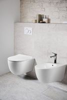 Товар: Унитаз Vincea Evo Rimless VT1-34S подвесной с сиденьем Микролифт - фото 8 Унитаз Vincea Evo Rimless VT1-34S подвесной с сиденьем Микролифт — фото 8, Унитазы